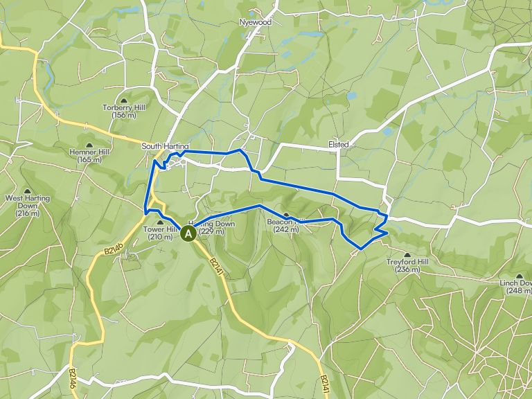 Harting Down, Beacon Hill & South Harting loop — South Downs National ...
